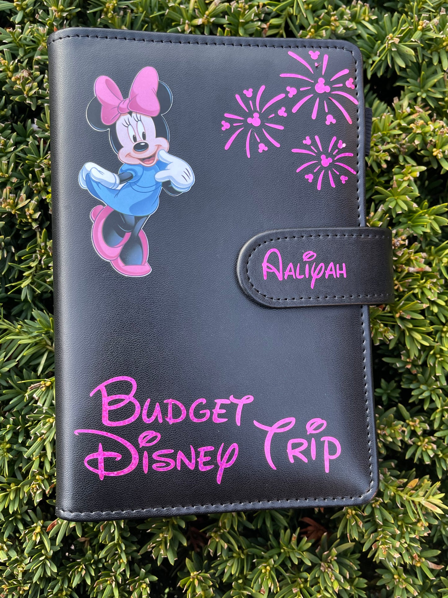 Disney trip Budget binder A6